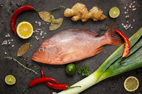 19 Different Types of Fish for Eating and Cooking: Learn How to Eat .